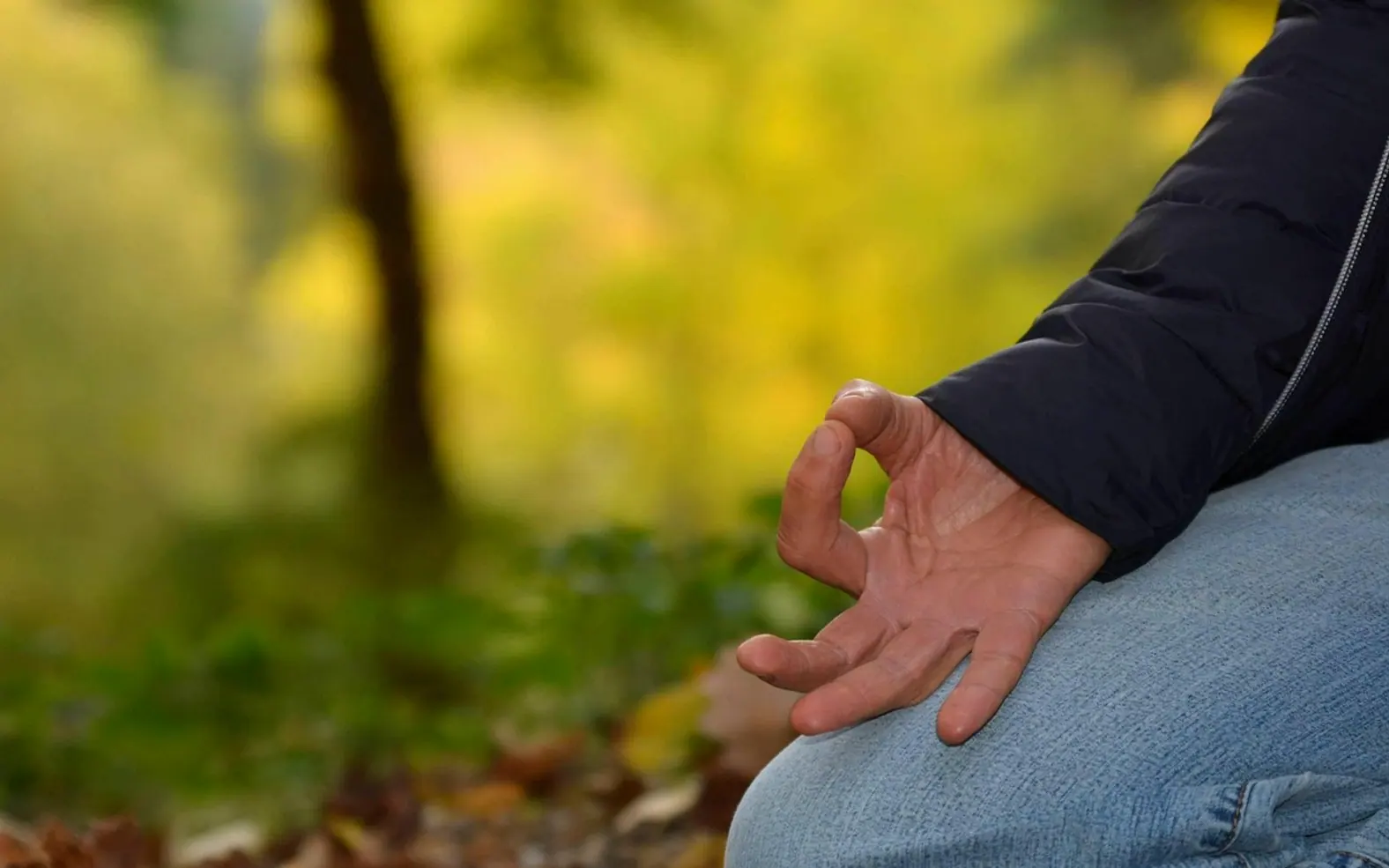 Lotus position, meditation and zazen